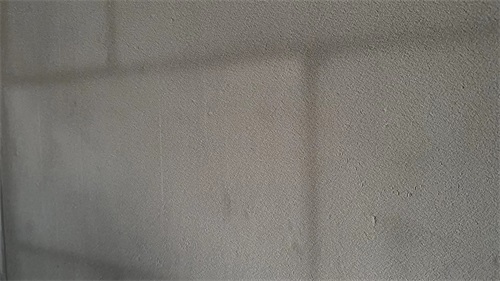 微信圖片_202311281021241 微信圖片_202311281021241